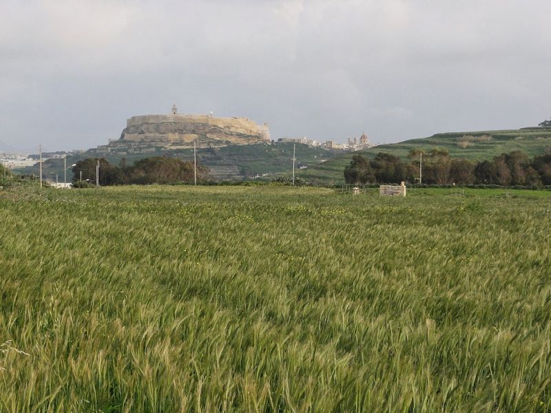 Zidurile nordice ale Castelului Gozo – cunoscut și sub numele de Cittadella – așa cum au fost fotografiate în 2014 - foto preluat de pe en.wikipedia.org